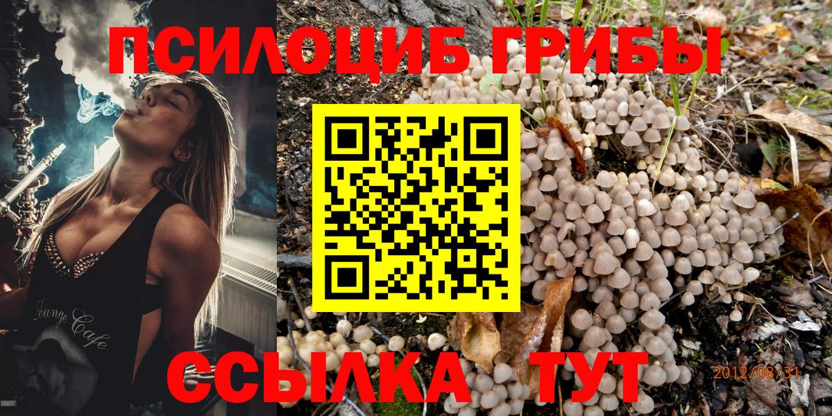 Галлюциногенные грибы Magic Shrooms Сосновый Бор