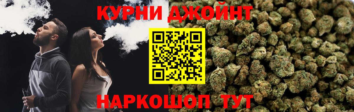 Конопля Amnesia Сосновый Бор